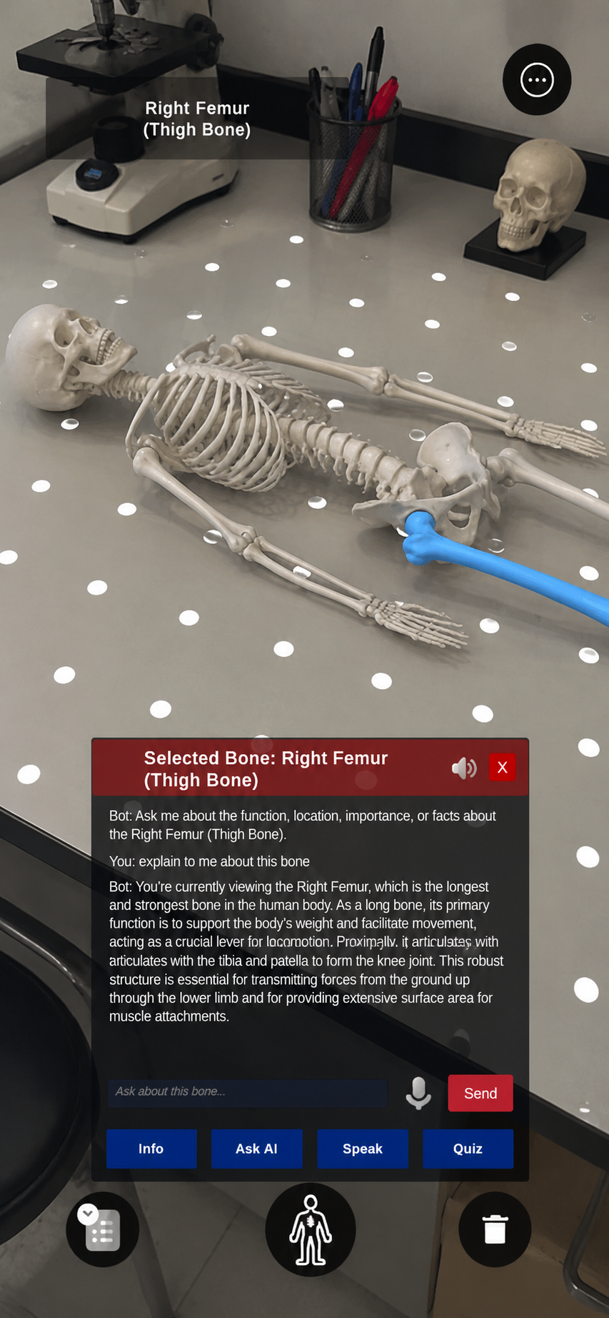BioScope selected femur with Gemini AI explanation